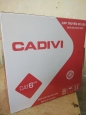 Cadivi